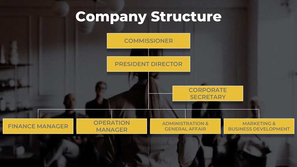 company structure PT. Petrindo Nusa Persada